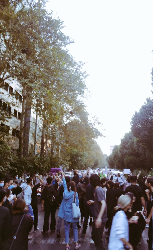 نبرد برای آزادی.
تهران، بلوار  &#8230; 705466001663624803
